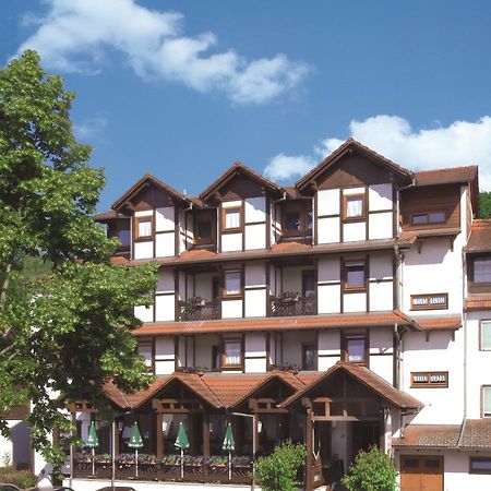 Blick Zum Maimont Hotel Ludwigswinkel Ngoại thất bức ảnh