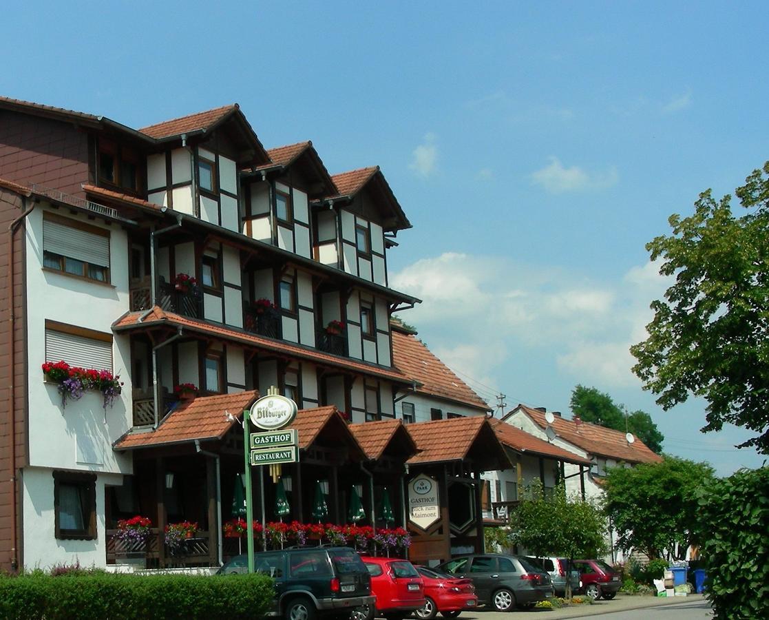 Blick Zum Maimont Hotel Ludwigswinkel Ngoại thất bức ảnh