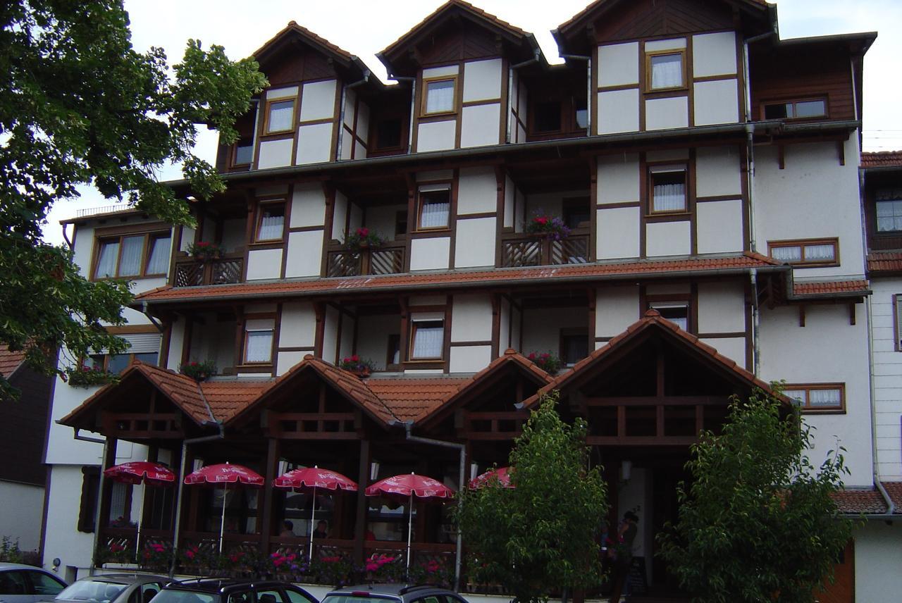 Blick Zum Maimont Hotel Ludwigswinkel Ngoại thất bức ảnh