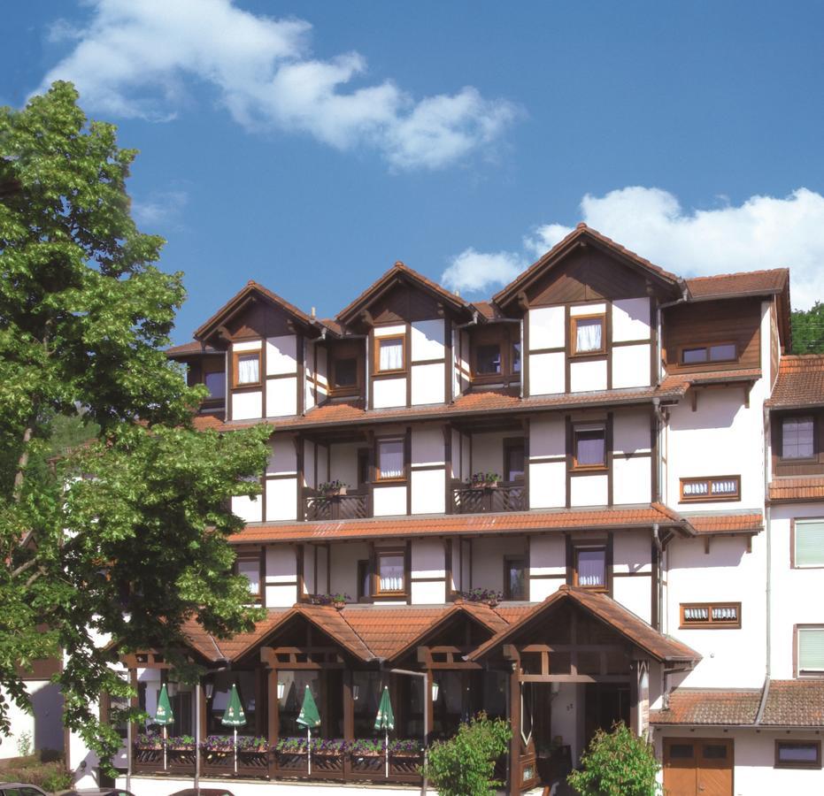 Blick Zum Maimont Hotel Ludwigswinkel Ngoại thất bức ảnh